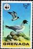 Colnect-1874-766-Black-headed-Gull-Larus-ridibundus.jpg