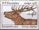 Colnect-1803-853-Red-Deer-Cervus-elaphus.jpg