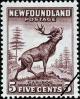 Colnect-919-953-Red-Deer-Cervus-elaphus.jpg