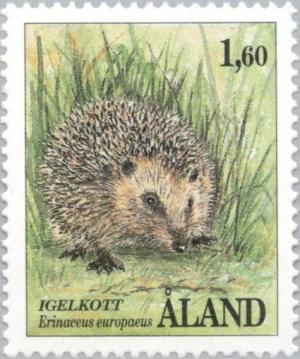Colnect-160-725-European-Hedgehog-Erinaceus-europaeus.jpg