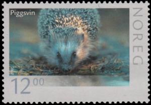 Colnect-4284-957-European-Hedgehog-Erinaceus-europaeus.jpg