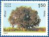 Colnect-559-503-Indian-Trees--Pipal.jpg