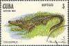 Colnect-671-151-Cuban-Crocodile-Crocodylus-rhombifer.jpg