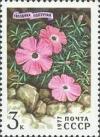 Colnect-944-479-Dianthus-repens.jpg