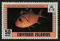 Colnect-1675-772-Blackbar-Soldierfish-Myripristis-jacobus.jpg
