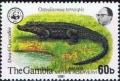 Colnect-1721-686-Dwarf-Crocodile-Osteolaemus-tetrasois.jpg