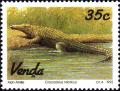 Colnect-2562-462-Nile-Crocodile-Crocodylus-niloticus.jpg