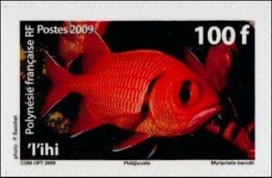 Colnect-1154-240-Blotcheye-Soldierfish-Myripristis-berndti.jpg