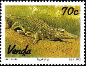 Colnect-2562-463-Nile-Crocodile-Crocodylus-niloticus.jpg