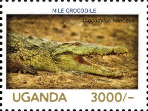 Colnect-3053-190-Nile-Crocodile-Crocodylus-niloticus.jpg