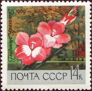 Colnect-4560-308-Gladiolus--Ural-Girl-.jpg