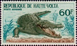 Colnect-508-192-Nile-Crocodile-Crocodylus-niloticus.jpg