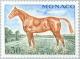 Colnect-148-196-Selle-Fran-ccedil-ais-Equus-ferus-caballus.jpg