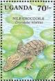 Colnect-1714-687-Nile-Crocodile-Crocodylus-niloticus.jpg