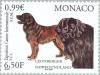 Colnect-150-130-Leonberger-Newfoundland-Dog-Canis-lupus-familiaris.jpg