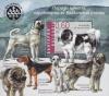 Colnect-1845-463-Karakachan-Dog-Canis-lupus-familiaris.jpg