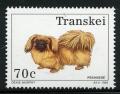 Colnect-1715-744-Pekingese-Dog-Canis-lupus-familiaris.jpg