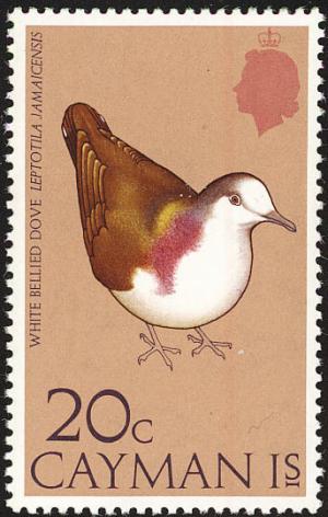 Colnect-1460-753-Caribbean-Dove-Leptotila-jamaicensis.jpg