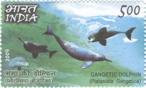 Colnect-545-438-Ganges-River-Dolphin-Platanista-gangetica.jpg