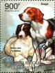 Colnect-3866-273-Pyrenean-Mountain-Dog-Beagle-Canis-lupus-familiaris.jpg