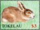 Colnect-4337-089-Domestic-rabbit.jpg