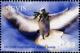 Colnect-5302-757-Dove-from-front.jpg
