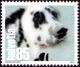 Colnect-5333-023-Dalmatian-Dog-Canis-lupus-familiaris.jpg