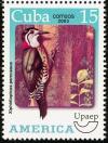 Colnect-2134-180-Cuban-Green-Woodpecker-Xiphidiopicus-percussus.jpg