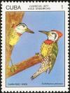 Colnect-2307-522-Cuban-Green-Woodpecker-Xiphidiopicus-percussus.jpg