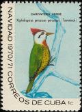 Colnect-3837-351-Cuban-Green-Woodpecker-Xiphidiopicus-percussus.jpg