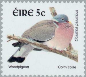 Colnect-129-888-Common-Woodpigeon-Columba-palumbus.jpg