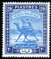 Colnect-1241-589-Postman-with-Dromedary-Camelus-dromedarius.jpg