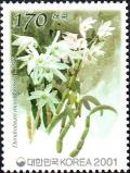 Colnect-2426-191-Dendrobium-moniliforme.jpg