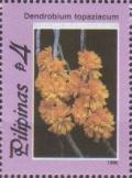 Colnect-3002-196-Dendrobium-topaziacum.jpg