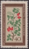 Stamp_of_Germany_%28DDR%29_1960_MiNr_761.JPG