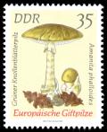Stamps_of_Germany_%28DDR%29_1974%2C_MiNr_1939.jpg