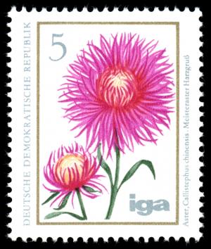 Stamps_of_Germany_%28DDR%29_1975%2C_MiNr_2070.jpg
