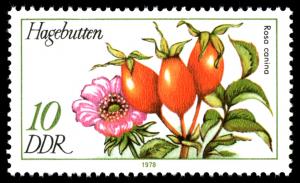 Stamps_of_Germany_%28DDR%29_1978%2C_MiNr_2287.jpg