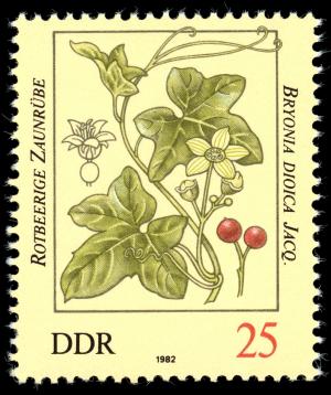 Stamps_of_Germany_%28DDR%29_1982%2C_MiNr_2694.jpg