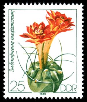 Stamps_of_Germany_%28DDR%29_1983%2C_MiNr_2805.jpg
