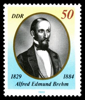 Stamps_of_Germany_%28DDR%29_1989%2C_MiNr_3256.jpg