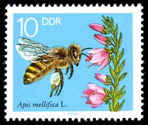 Stamps_of_Germany_%28DDR%29_1990%2C_MiNr_3296.jpg