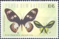 Colnect-3131-611-Paradise-Birdwing-Ornithoptera-paradisea.jpg