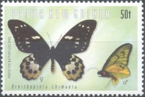 Colnect-3131-606-Chimaera-Birdwing-Ornithoptera-chimaera.jpg