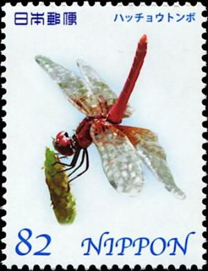 Colnect-5524-189-Scarlet-dwarf-Nannophya-pygmaea.jpg