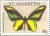 Colnect-2624-271-Chimaera-Birdwing-Ornithoptera-chimaera.jpg