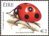 Colnect-1863-851-Seven-Spotted-Ladybird-Coccinella-septempunctata.jpg