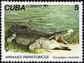 Colnect-671-172-Cuban-Crocodyle-Crocodylus-rhombifer.jpg