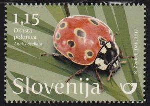 Colnect-4357-457-Eyed-ladybird-Anatis-ocellata.jpg