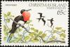Colnect-1595-963-Christmas-Island-Frigatebird-Fregata-andrewsi.jpg